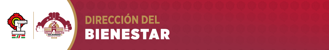 Encabezado de la Dirección BIENESTAR SOCIAL
