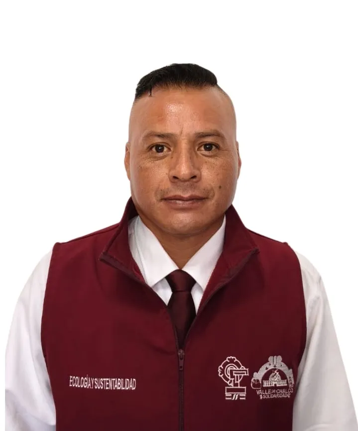 Verificador