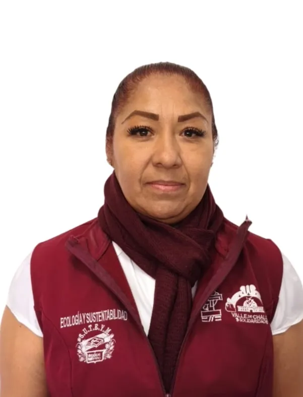 Verificador